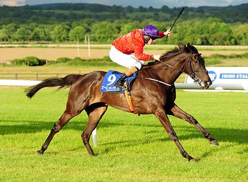 Palmones is ridden out by Gary Halpin