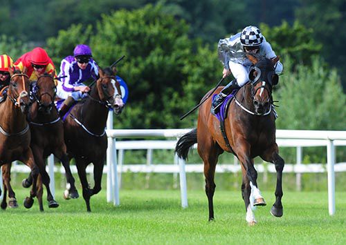 Midnight Crossing is clear close home as Schubert is second from the right