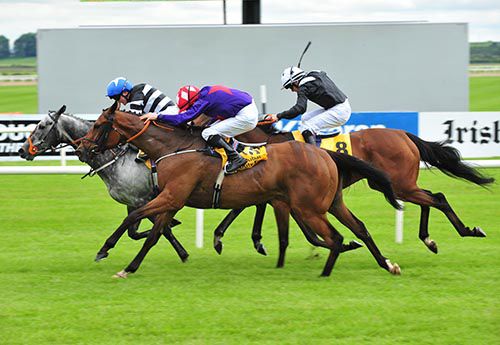 Sruthan (nearest) finishes best to beat Sovereign Debt (grey) and Hint Of A Tint