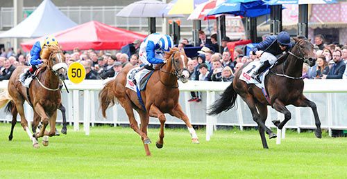 Medicine Jack (blue and white) proves too good for Peace Envoy (navy)