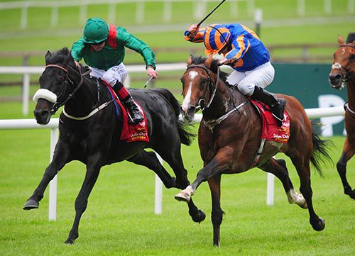 Harzand and Pat Smullen (left) get the better of Idaho and Ryan Moore