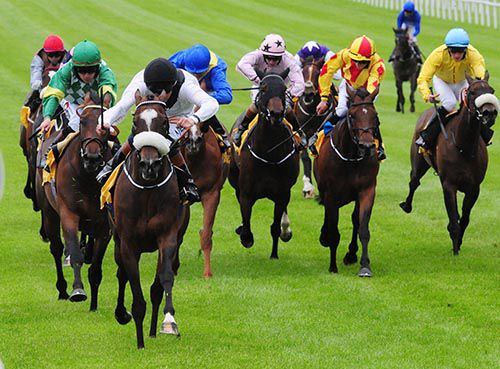 Penny Pepper leads her rivals home under Chris Hayes