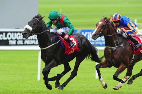Harzand winning the Irish Derby