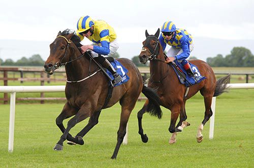 Time To Reason and Connor King