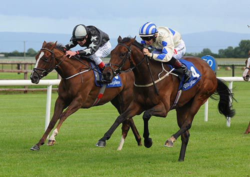 Brooklyn's Rose and Colin Keane