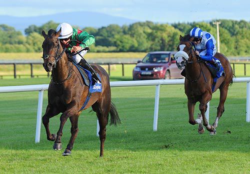 Roibeard and Evan Daly