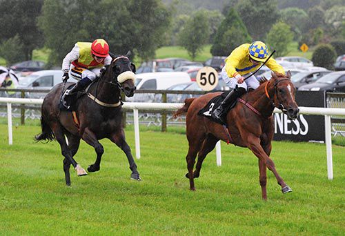 Nora Batt is ridden out by Oisin Orr to beat Catwilldo (noseband)