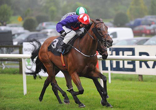 Shanghai Beauty is ridden out by Andrew Breslin