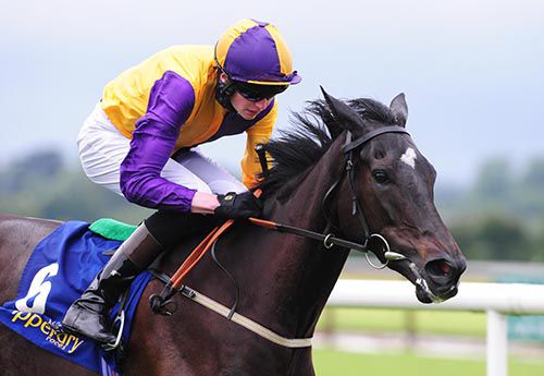 Elltaaf comes home in front under Connor King