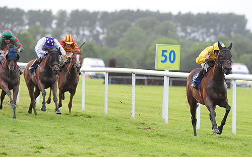 Lilly The Lioness pictured on her way to victory under Seamie Heffernan