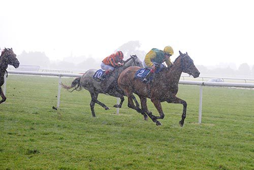 Knockmaole Boy comes home in front in the rain at Tipperary