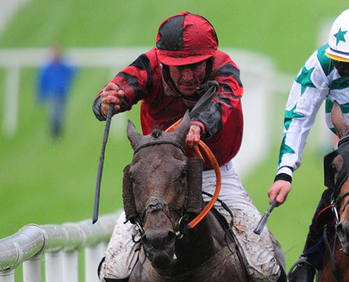 Beautiful Ben and Davy Russell