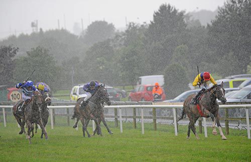 Tribal Path stretches clear for Donagh O'Connor at Bellewstown