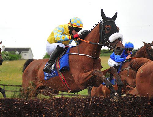 Xsquared pictured in action at Limerick last month