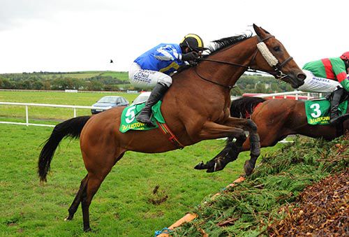Curragh Golan and Paul Townend