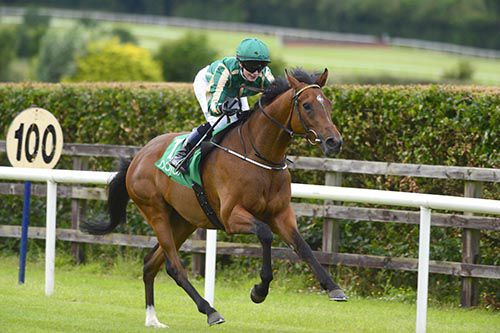 Landsman comes home a comfortable winner under Caroline Murtagh