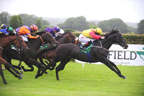 Elusive Heights is ridden out by Colin Keane