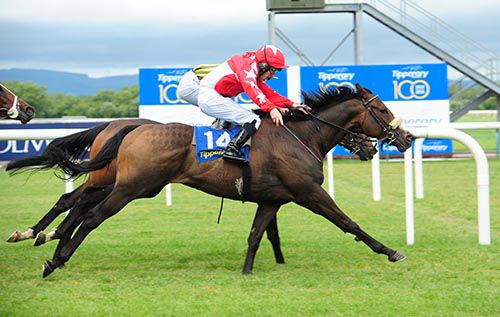 Mick Hussey and Hard Times (nearside) just prevail from Smiling Emily