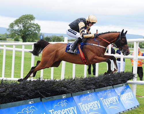 Ivan Grozny and Ruby Walsh
