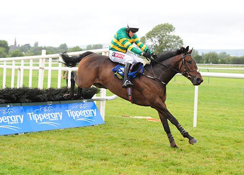 Exactoris clears the last under Barry Geraghty