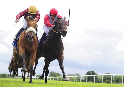 Queen Catrine, left, beats Most Beautiful at Fairyhouse
