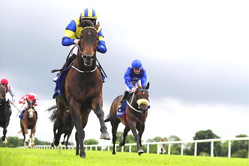 Time To Reason approaches the line in Fairyhouse