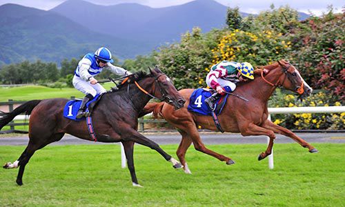 Creggs Pipes is ridden out by Declan McDonogh to beat Assume and Wayne Lordan