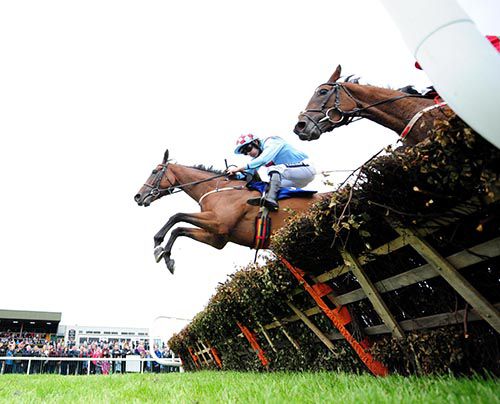 Screaming Rose jumps the last just ahead of D'Pinesflyer