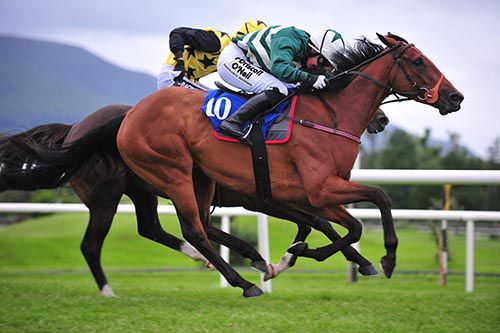 Verdana Blue pictured winning in Kent's colours