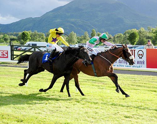 Hidden Cyclone closes it out from Affinisea