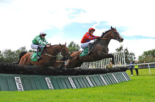 Our Brian (red) jumps the last in second, with French Ambassador in third