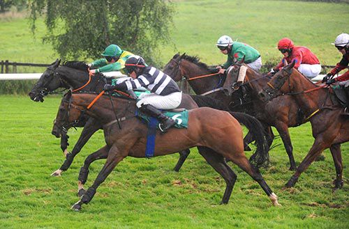 Western Goose (inside) and Scenic Star lead the field away from the last
