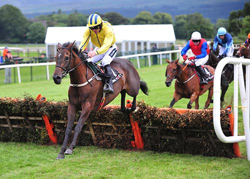 Westerner Lady and Ruby Walsh pictured on their way to victory