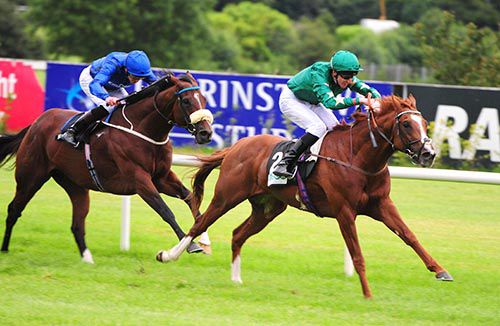 Decorated Knight and George Baker prove too good for Portage and James Doyle