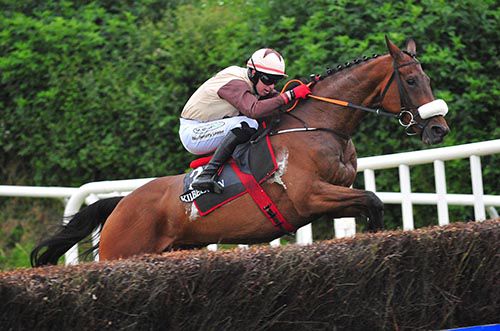 Cecil Corbett and Keith Donoghue pictured on their way to victory