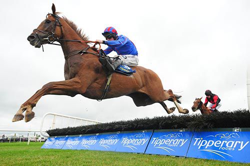 Lord Fendale jumps the last under Andrew Lynch