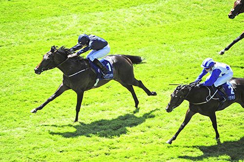 Istan is pushed out by Ryan Moore to beat Rock In Peace