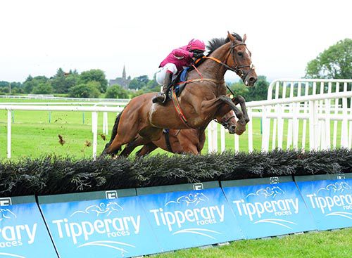 Marinero jumps the last under David Mullins