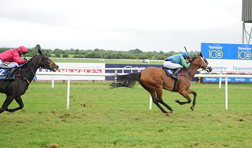 Oscars Boss leads home Black Ace in the bumper
