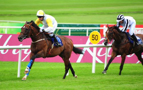 Vivat Rex winning at the Curragh