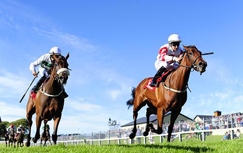Laws Of Spin (right) and Shane Foley beating Kandahari at a sun-kissed Ballinrobe