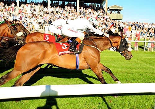 Ruler Of France (nearside) and Killian Leonard just beats Daredevil Day