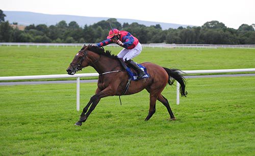 Antimatter and Jamie Codd are clear