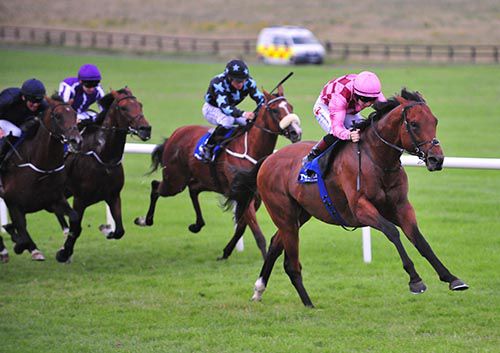 Endless Drama asserts under Colin Keane to beat his four rivals in the Naas finale