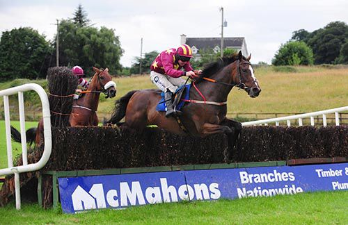 Heron Heights jumps the last under Andrew Lynch