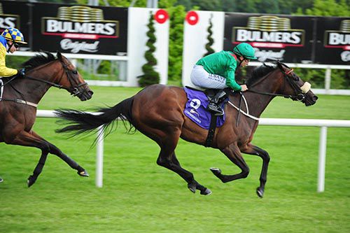 Kadra crosses the line in front under Shane Foley