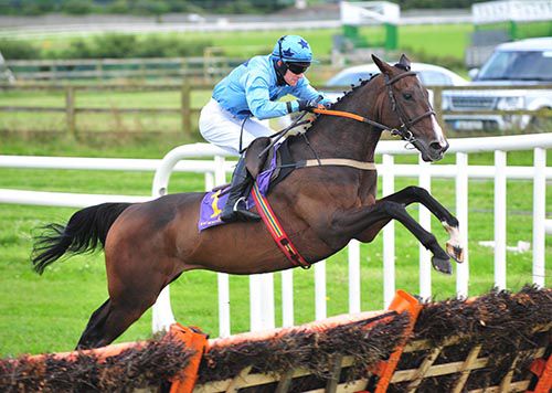 Runyon Rattler and Andrew Ring