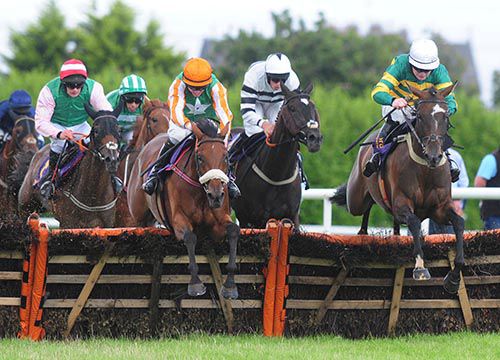 Tellthemnuttin and Robinson (orange) 