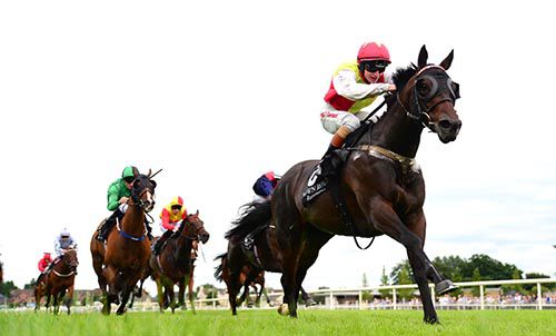 Catwilldo and Killian Leonard 