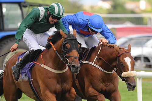 The Rite Article (blue) beats Cadawill